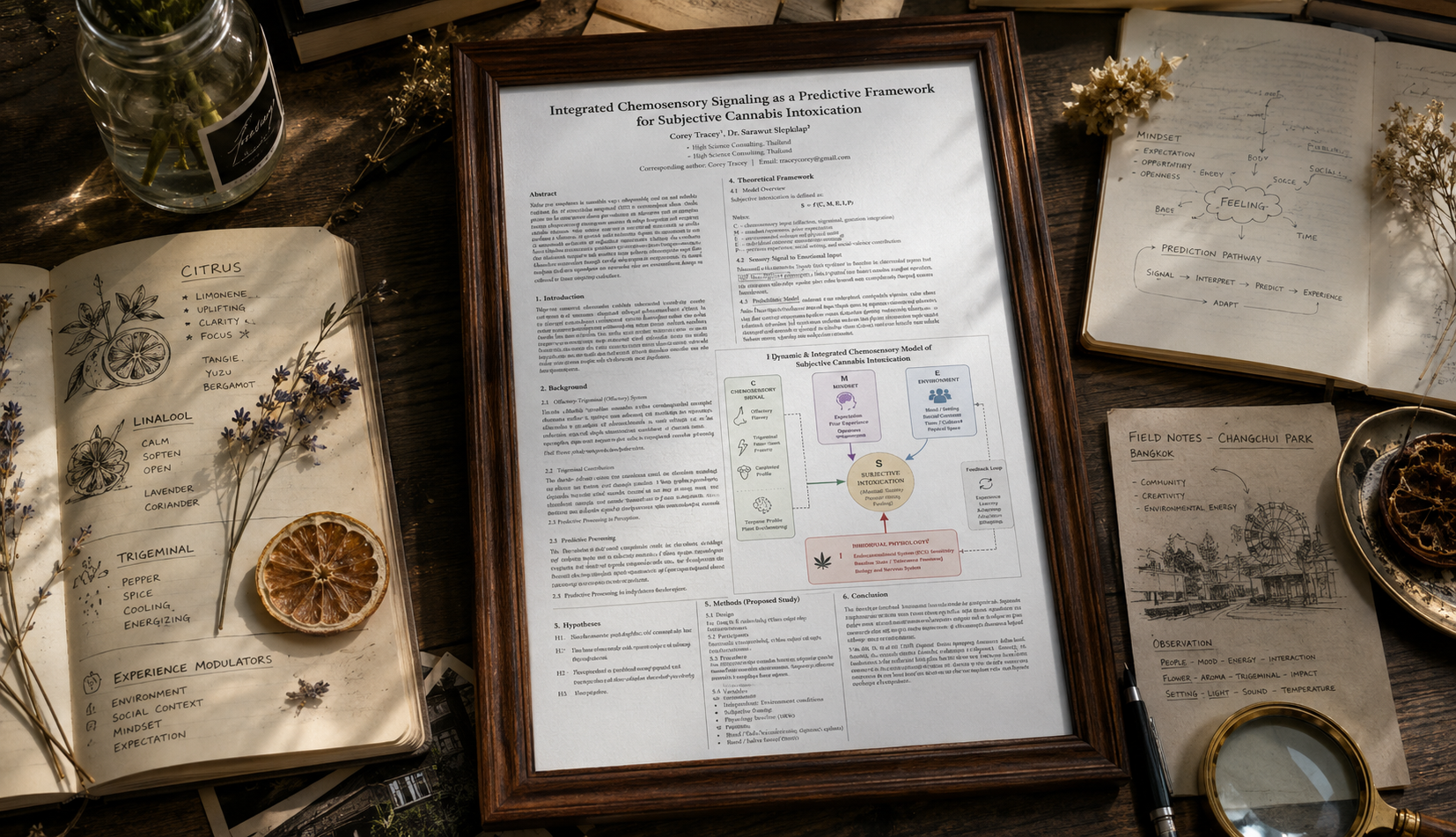Overhead research desk: framed thesis on integrated chemosensory signaling, field notebooks, magnifying glass, dried botanicals, and reference papers.